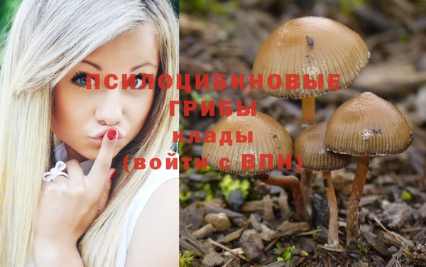 гидропоника Волоколамск