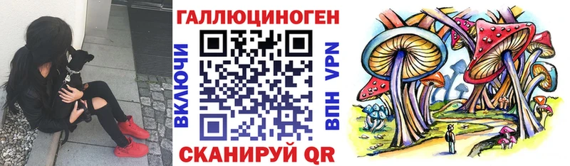 darknet состав  Березники  Псилоцибиновые грибы мухоморы  что такое  